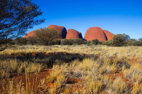 Kata Tjuta Sunrise And Valley Of The Winds Half-Day Trip - Accommodation Whitsundays 11