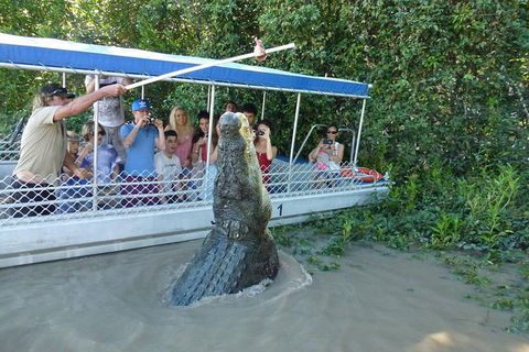 Jumping Croc Cruise - Accommodation Whitsundays 1