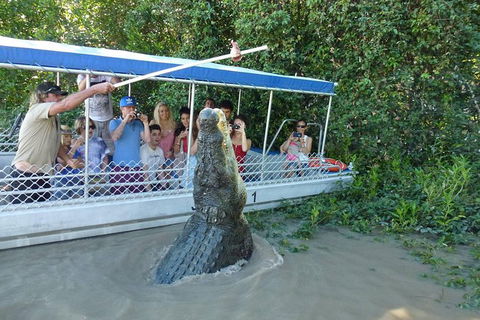 Jumping Croc Cruise - Accommodation Whitsundays 0