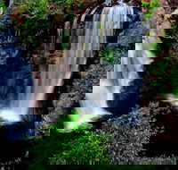 Litchfield Dreams 1 Day National Park Waterfall Swimming  Jumping Croc Cruise - Accommodation Whitsundays