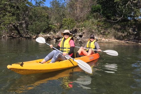 Paddle In Paradise - 4 Hours Double Kayak Hire - Accommodation Whitsundays 6
