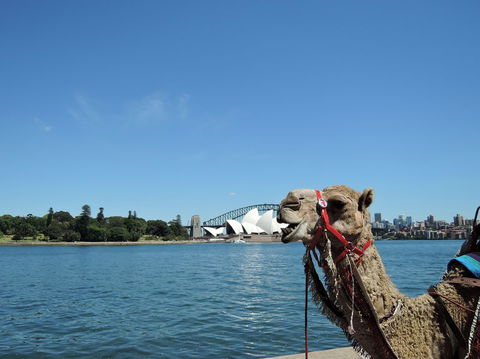 Opera On Sydney Harbour: La Traviata - Accommodation Whitsundays 11