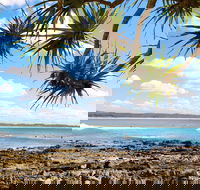 Arrawarra-Corindi Beach - Accommodation Whitsundays