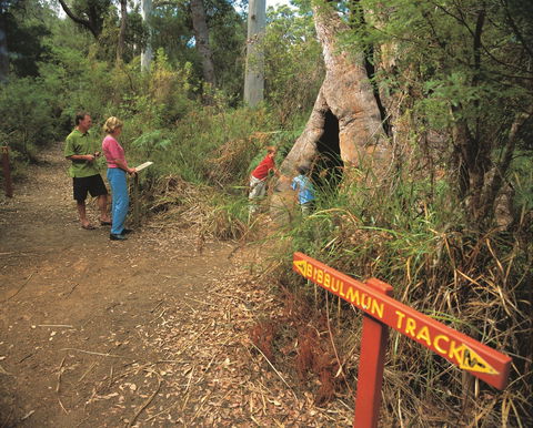 Bibbulmun Track - Accommodation Whitsundays 1