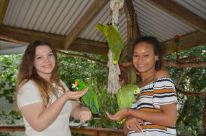 Birdworld Kuranda