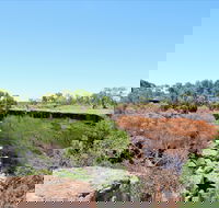 Bladensburg National Park - Accommodation Whitsundays