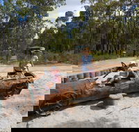Crooked Brook Forest - Accommodation Whitsundays
