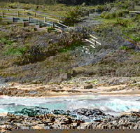 Dammerels History Walk - Accommodation Whitsundays