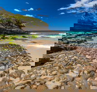Dawsons Island Beach - Accommodation Whitsundays