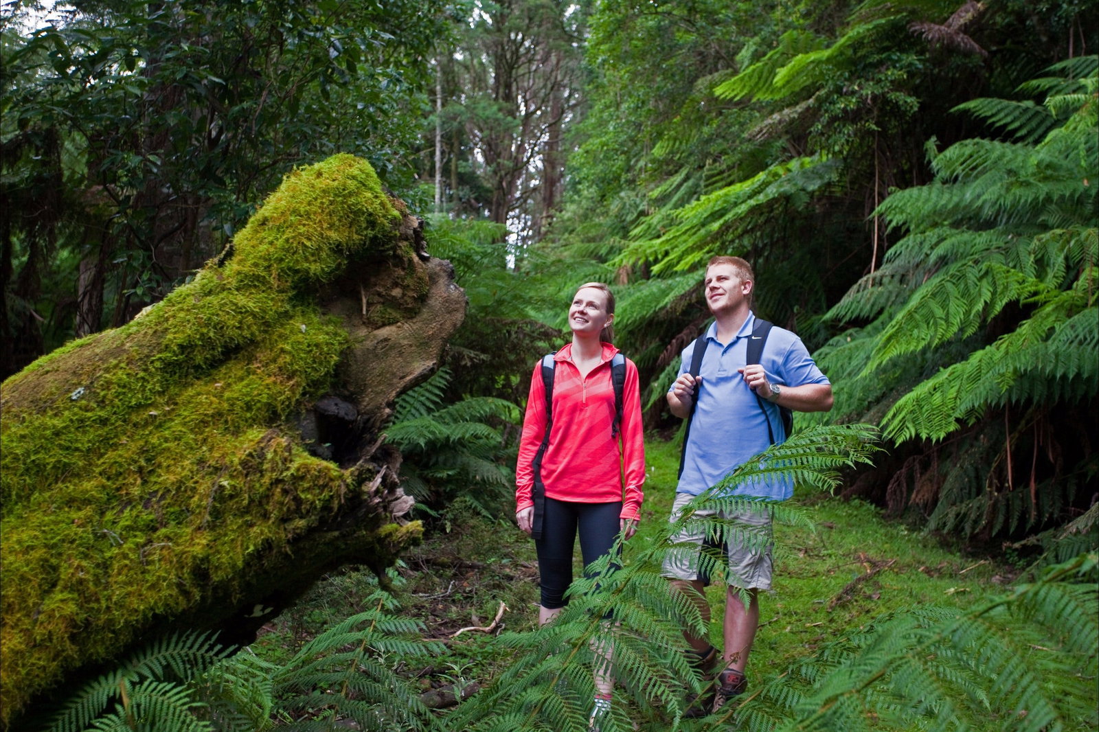 Jeeralang Junction VIC Accommodation Whitsundays