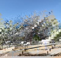 Gregory's Tree Timber Creek - Accommodation Whitsundays