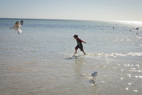 Hardwicke Bay - Accommodation Whitsundays 1