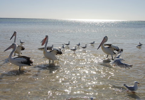 Hardwicke Bay - Accommodation Whitsundays 2
