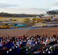 Ipswich Motorsport Precinct - Accommodation Whitsundays