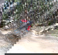 Jolly Nose Mountain Bike Park - Accommodation Whitsundays