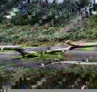 Kayaking Upper Tuross River and Bumbo Lake - Accommodation Whitsundays