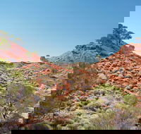 Lark Quarry Conservation Park - Accommodation Whitsundays