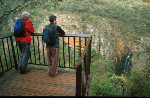Morialta Conservation Park - Accommodation Whitsundays 2