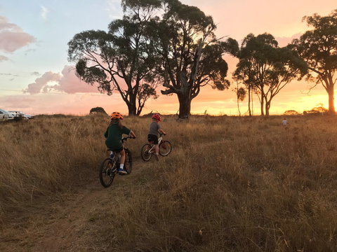 Mountain Bike Trails Tumbarumba - Accommodation Whitsundays 2