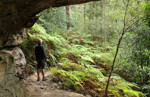 Old Great North Road Bike Ride - Accommodation Whitsundays 0