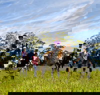 Port Macquarie Horse Riding Centre - Accommodation Whitsundays