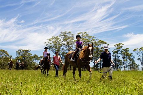 Port Macquarie Horse Riding Centre - Accommodation Whitsundays 0
