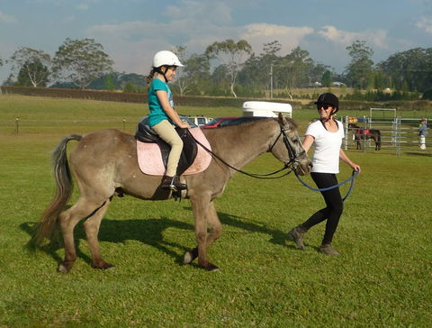 Port Macquarie Horse Riding Centre - Accommodation Whitsundays 1