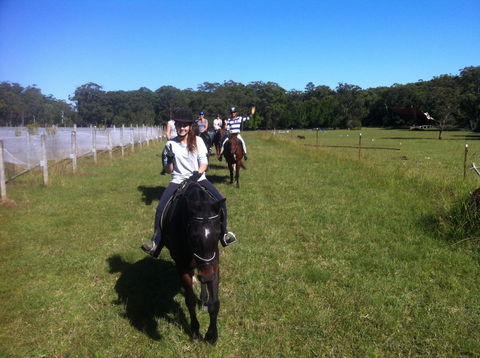 Port Macquarie Horse Riding Centre - Accommodation Whitsundays 2