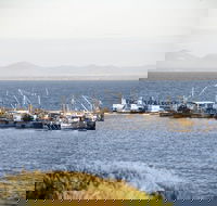 Portarlington - Accommodation Whitsundays