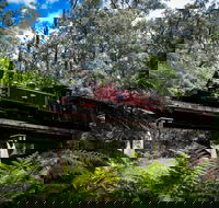 Puffing Billy Railway - Accommodation Whitsundays