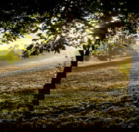 Ruffey Lake Park - Accommodation Whitsundays