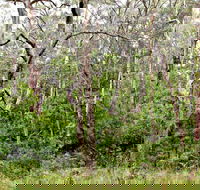 Scutts Hut Trail - Accommodation Whitsundays