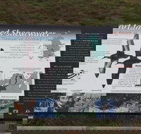 Settlement Point Viewing Platform - Accommodation Whitsundays