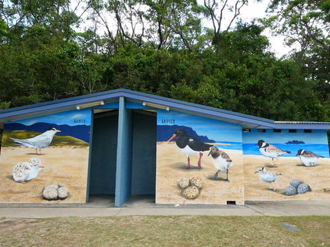 Shoalhaven Toilet Mural Tour - Accommodation Whitsundays 1