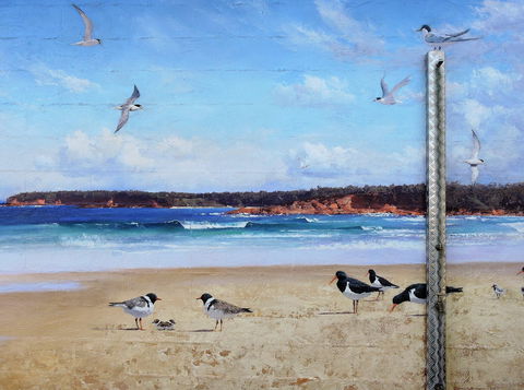 Shoalhaven Toilet Mural Tour - Accommodation Whitsundays 2