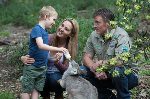 Tamworth Marsupial Park And Adventure Playground - Accommodation Whitsundays 0