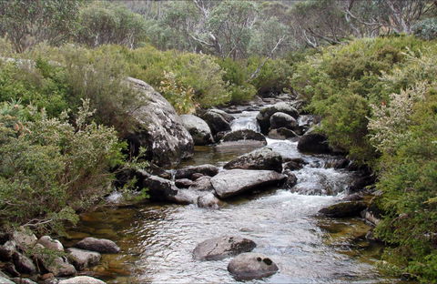 Thredbo River Track - Accommodation Whitsundays 0