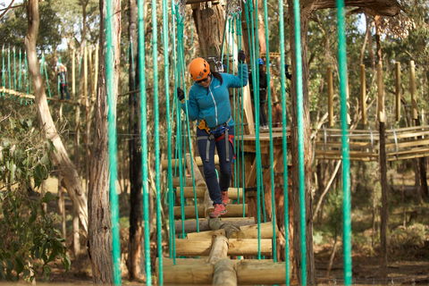Trees Adventure Yeodene Park - Accommodation Whitsundays 0