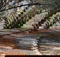 Warrego Floodplain walking track - Accommodation Whitsundays