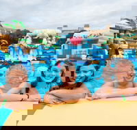 Waterworld Central - Mobile Inflatable Waterpark - Accommodation Whitsundays