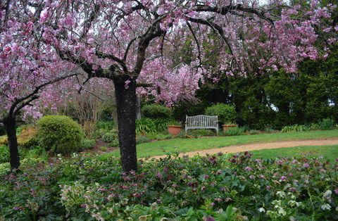 Wildwood Garden - Accommodation Whitsundays 2