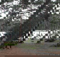 Big Brook Arboretum - Accommodation Whitsundays