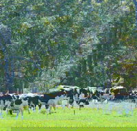 Boyanup - Accommodation Whitsundays