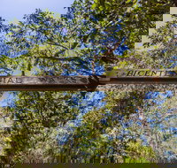 Bribie Island Bicentennial Trails - Accommodation Whitsundays