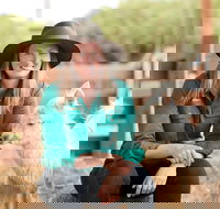 Creswick Woollen Mills - Accommodation Whitsundays