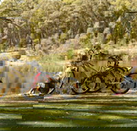 Creswick Regional Park - Accommodation Whitsundays