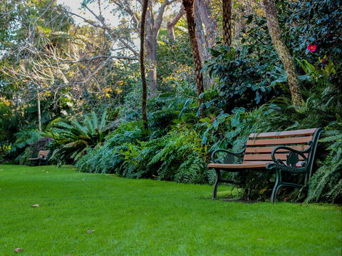 EG Waterhouse National Camellia Gardens - Accommodation Whitsundays 0