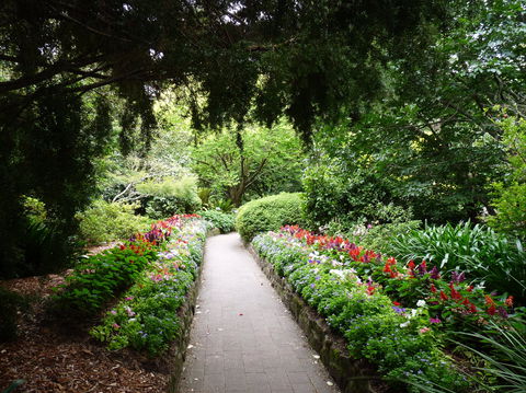 EG Waterhouse National Camellia Gardens - Accommodation Whitsundays 1