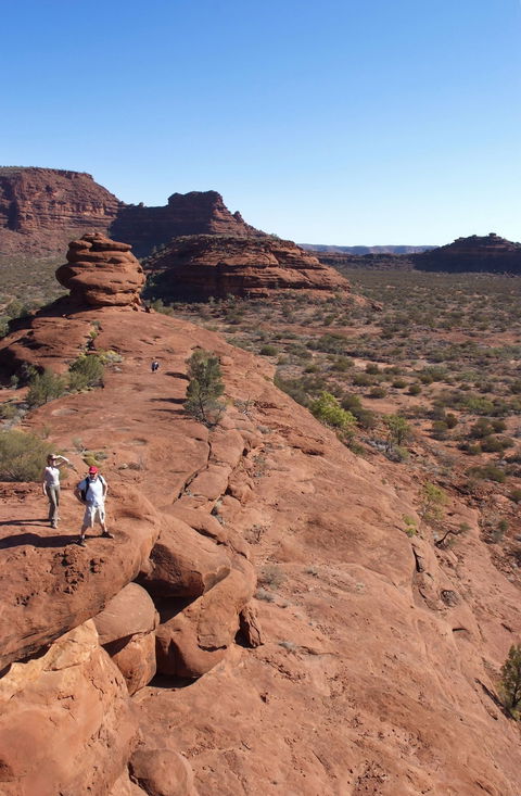 Finke Gorge National Park - Accommodation Whitsundays 0