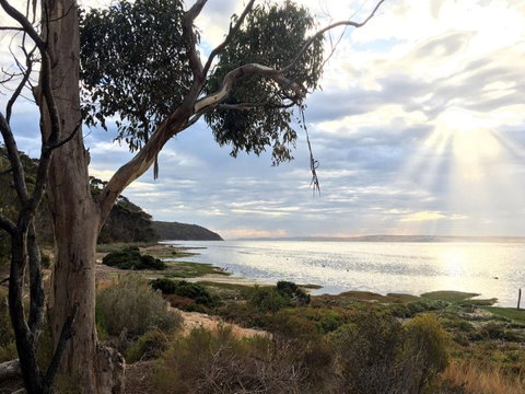 Fish Cannery Walking Trail - Accommodation Whitsundays 0